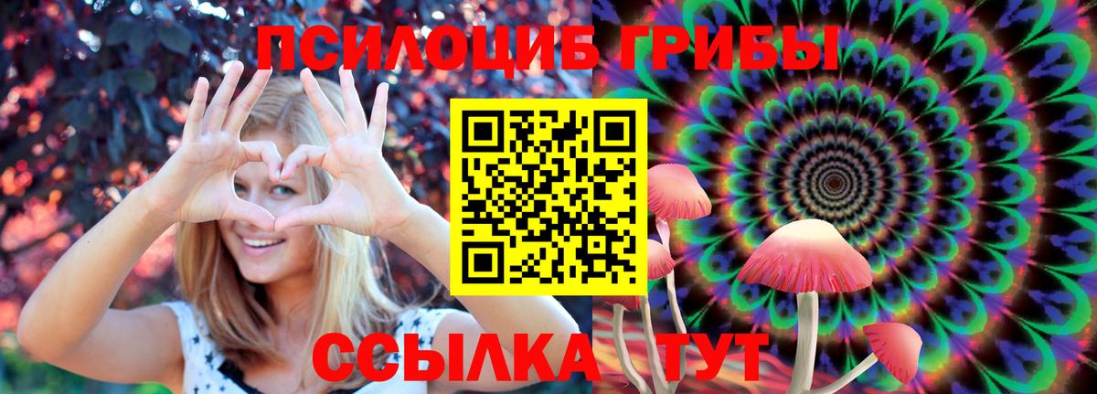 как найти   Галлюциногенные грибы прущие грибы  Вход с VPN  Нефтеюганск 