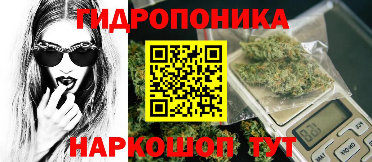 Бошки Шишки семена Нефтеюганск